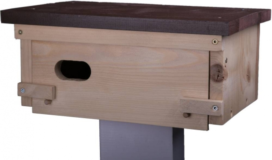 Nistkasten fr Mauersegler