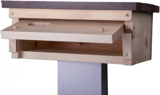 Nistkasten fr Mauersegler