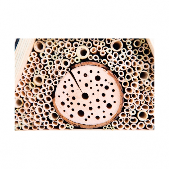 Insektenhotel fr Wildbienen und Schmetterlinge